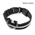 LED Pet Collar Novari