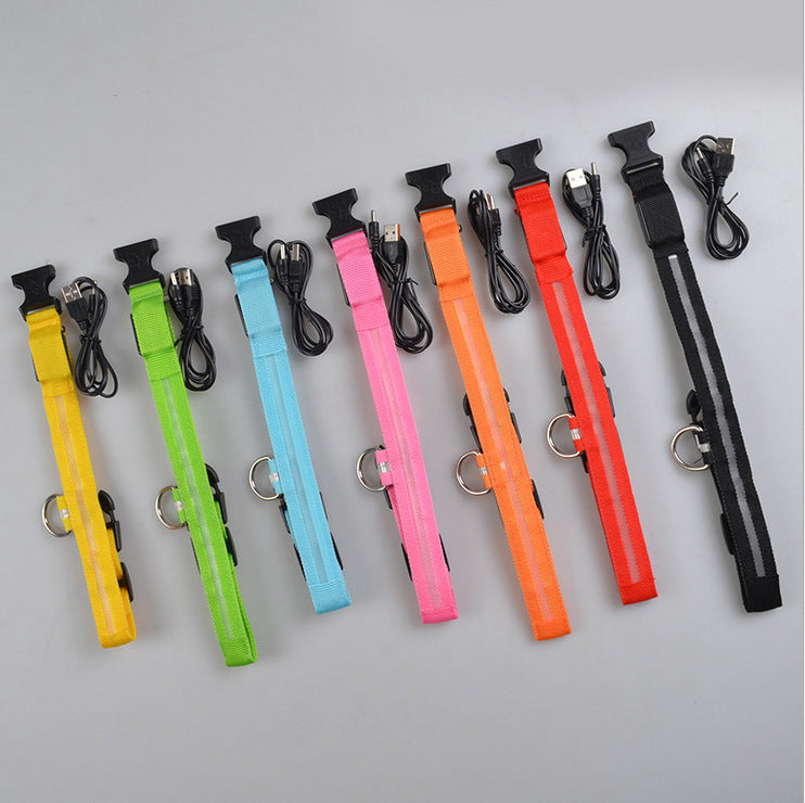 LED Pet Collar Novari