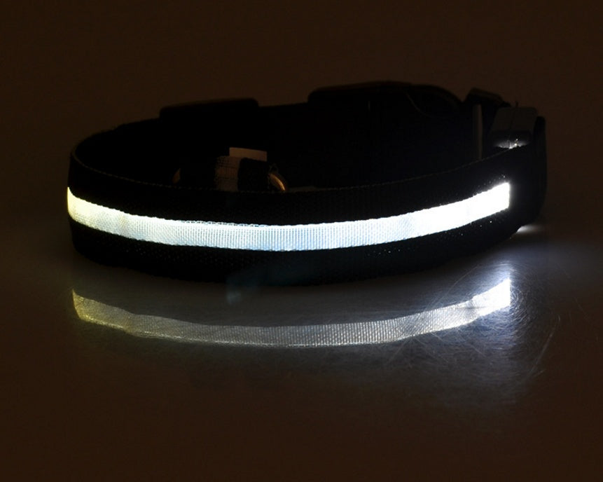 LED Pet Collar Novari