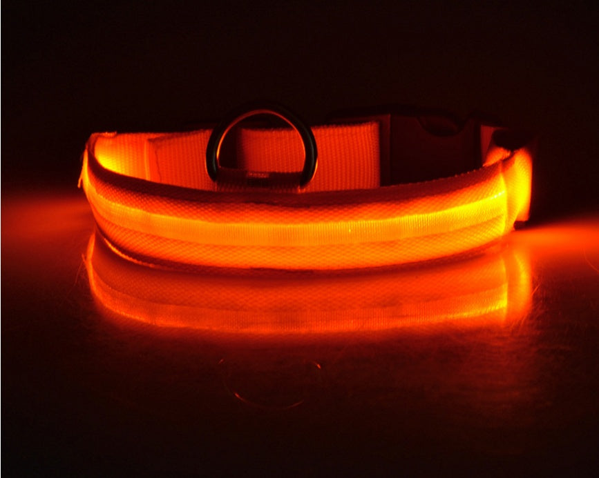 LED Pet Collar Novari