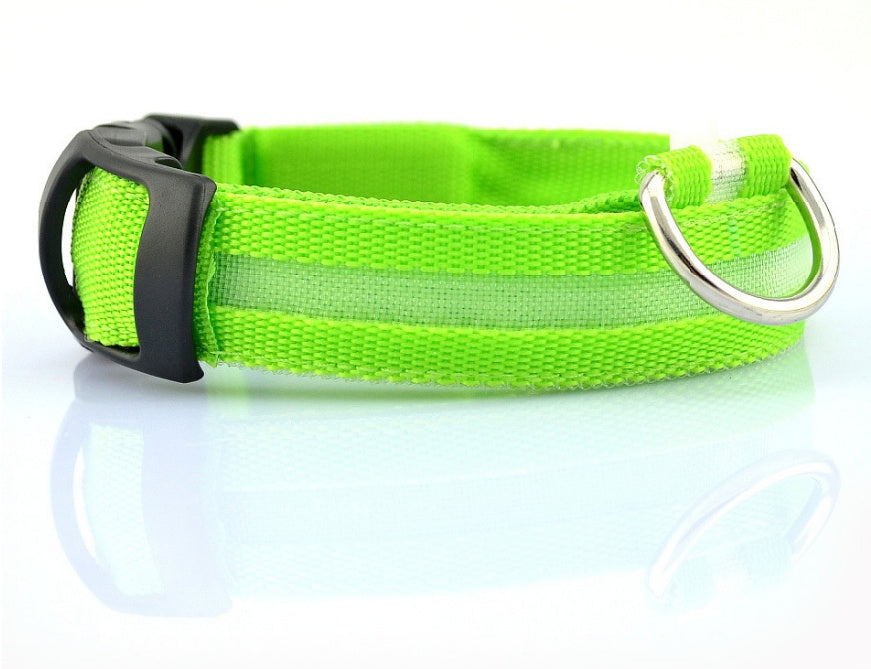LED Pet Collar Novari