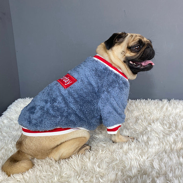 Pet sweater Novari