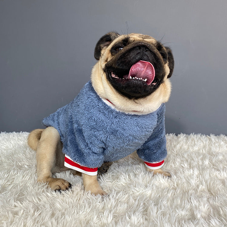 Pet sweater Novari