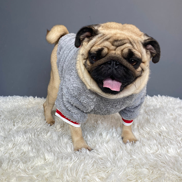 Pet sweater Novari