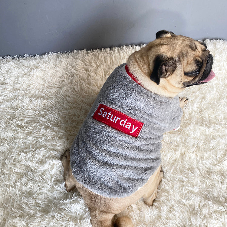 Pet sweater Novari