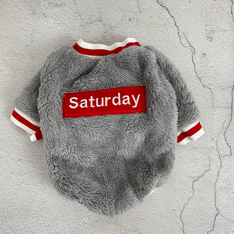Pet sweater Novari