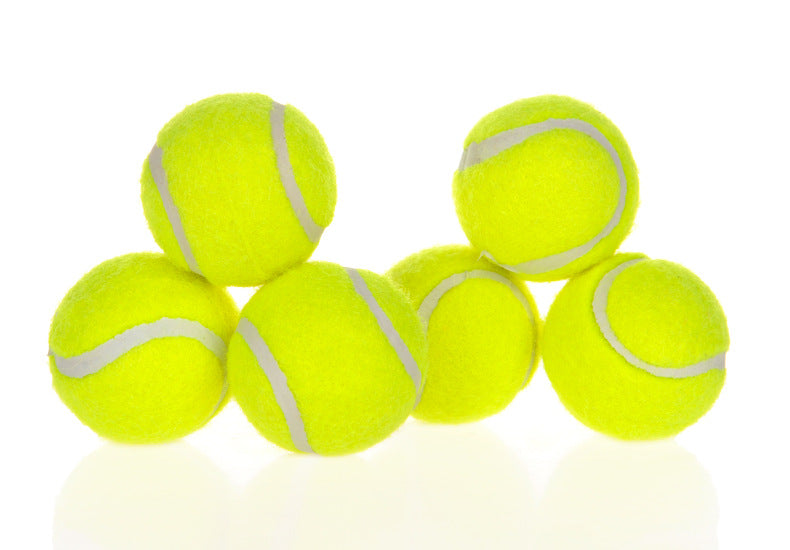 Dog Pet Automatic Interactive Ball Launcher Novari