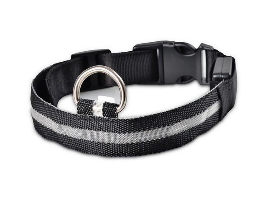 LED Pet Collar Novari