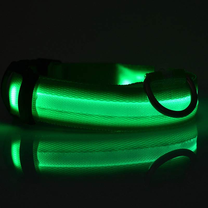 LED Pet Collar Novari
