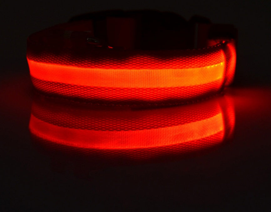 LED Pet Collar Novari