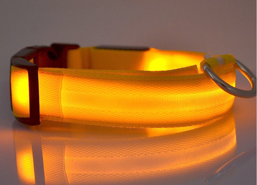 LED Pet Collar Novari