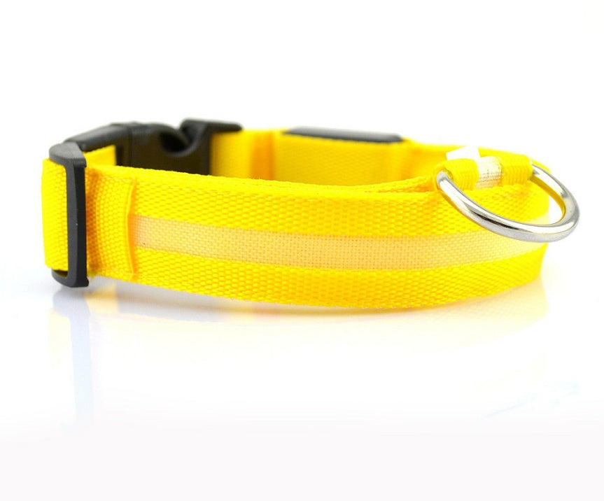 LED Pet Collar Novari