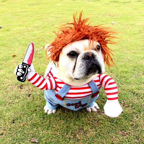 Funny Pet Costume Novari