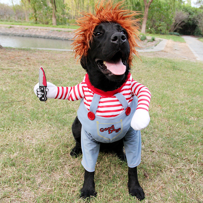 Funny Pet Costume Novari