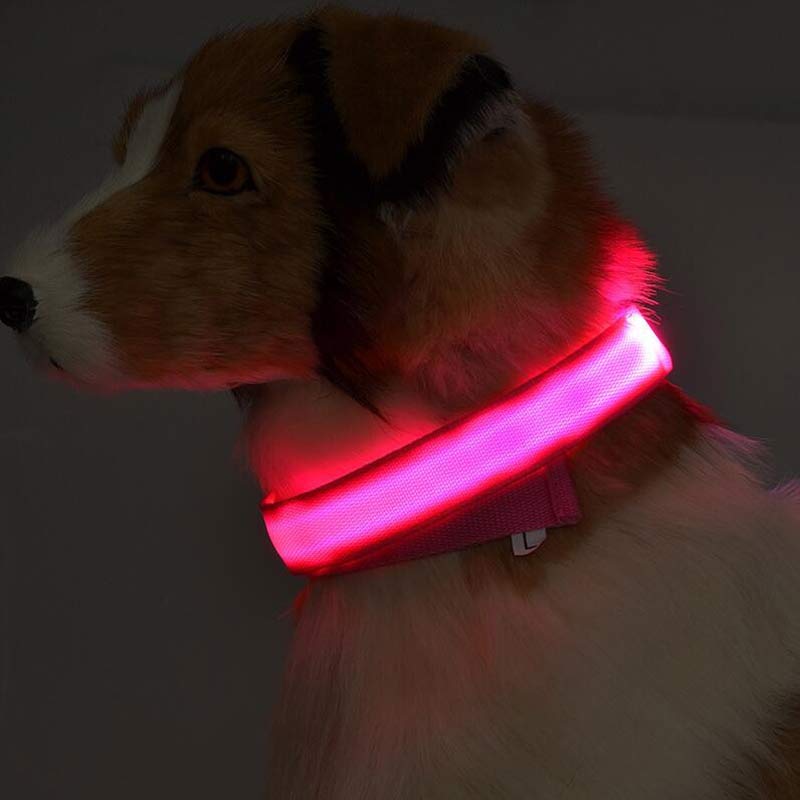 LED Pet Collar Novari