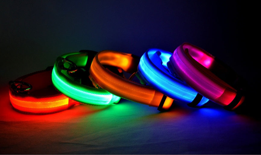 LED Pet Collar Novari