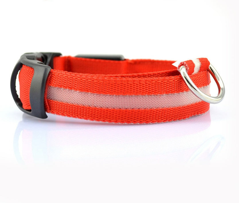 LED Pet Collar Novari