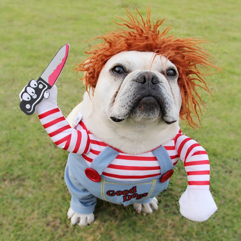 Funny Pet Costume Novari