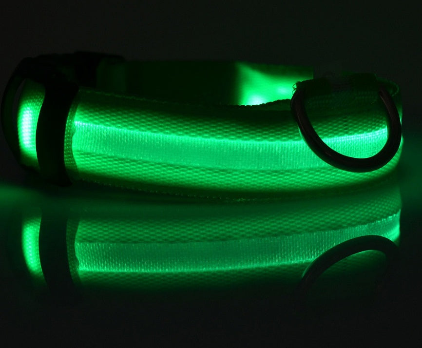 LED Pet Collar Novari