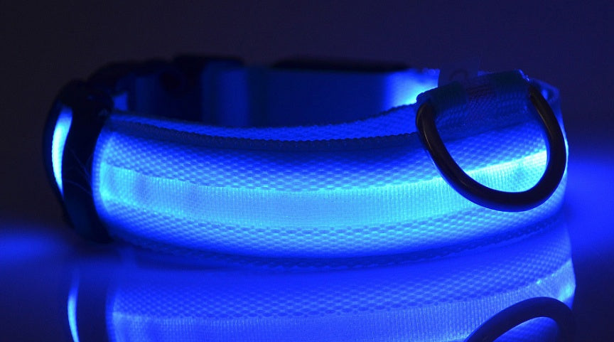 LED Pet Collar Novari