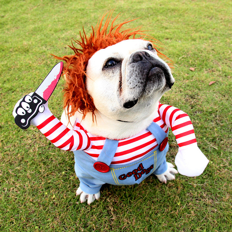 Funny Pet Costume Novari