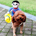 Funny Pet Costume Novari